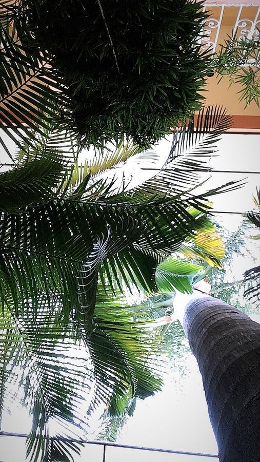 Hotel Tierra Del Sol Oaxaca Kültér fotó