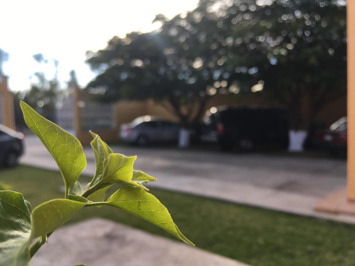 Hotel Tierra Del Sol Oaxaca Kültér fotó